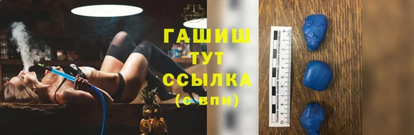 индика Аркадак