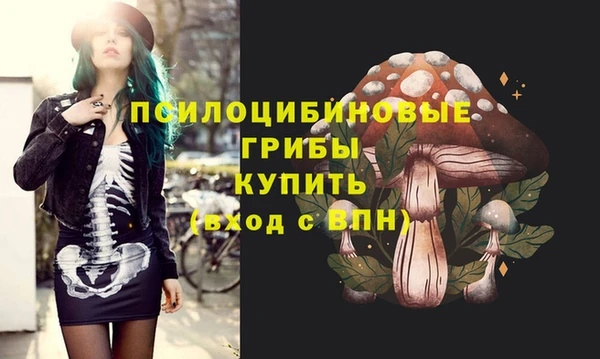 индика Аркадак